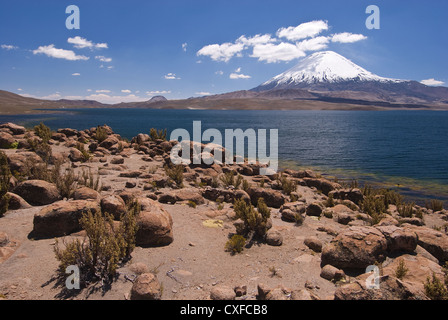 Elk198-2591 Chile, Nationalpark Lauca Volcan Parinacota Vulkan, 6330 m über Lago Chungara Stockfoto