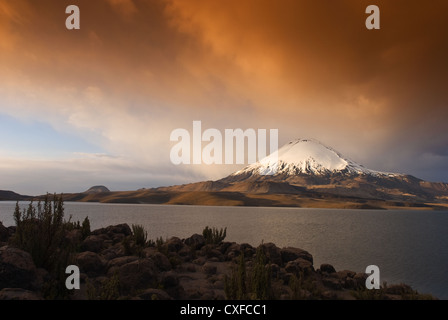 Elk198-2598 Chile, Nationalpark Lauca Volcan Parinacota Vulkan, 6330 m über Lago Chungara Stockfoto