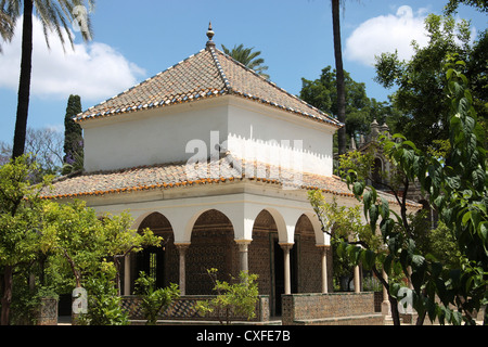 Gärten des Real Alcazar de Sevilla, Spanien Stockfoto