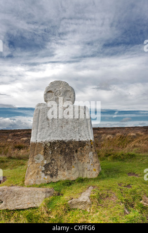 Fetter Betty Stein in der Nähe von Rosedale, North Yorkshire, England, UK. Stockfoto