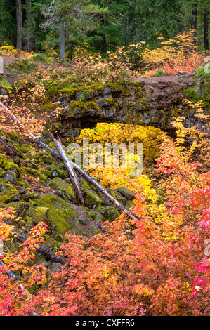 Natural Bridge interpretativen Website, Gifford Pinchot National Forest, Washington. Stockfoto