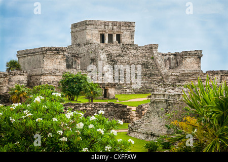 El Castillo in Tulum Maya Ruinen, Halbinsel Yucatan, Mexiko. Stockfoto