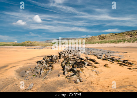 Ein schöner Tag am Strand von Fanore, Co. Clare. Fanore befindet sich im Herzen der Burren Kalksteinlandschaft. Stockfoto