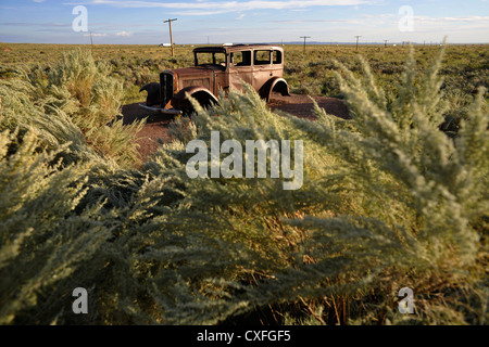 Aufgegeben von verrosteten Auto auf der Route 66, Petrified Forest National Park in Arizona, USA Stockfoto