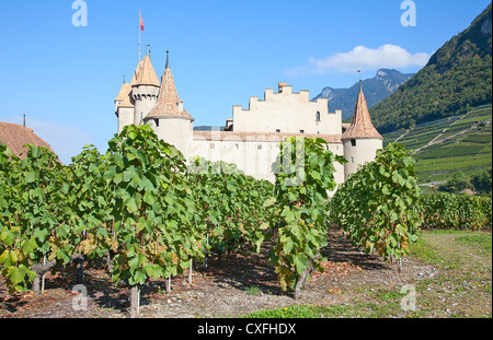 Berühmtes Schloss Chateau d ' Aigle im Kanton Waadt, Schweiz Stockfoto