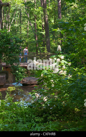 Hot Springs, Arkansas Garvan Woodland Gärten, ADA zugänglich. Stockfoto