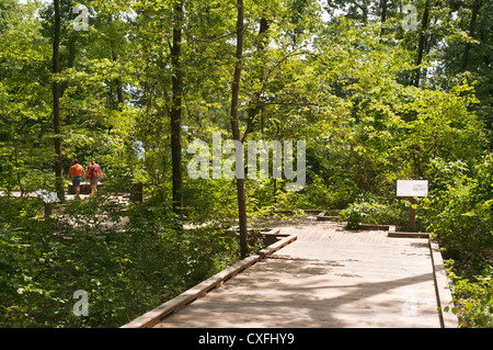 Hot Springs, Arkansas, Garvan Woodland Gärten, Wald Natur bewahren, ADA zugänglich. Stockfoto