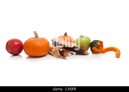 Verschiedene Herbst Kürbisse und Kalebassen auf weißem Hintergrund mit Textfreiraum Stockfoto