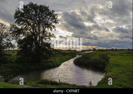 Landschaft im Nationalpark Mündung der Warthe, (Park Narodowy Ujscie Warty) Voivodship Lebus, Polen Stockfoto