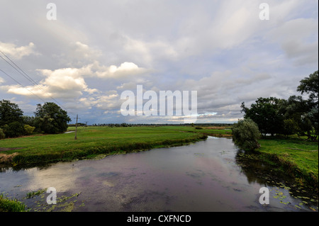 Landschaft im Nationalpark Mündung der Warthe, (Park Narodowy Ujscie Warty) Voivodship Lebus, Polen Stockfoto