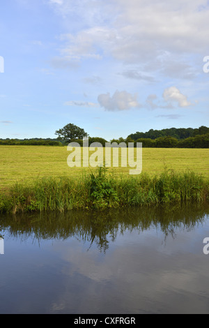 Das Ufer eines Flusses mit Büschen und Bäumen. Stockfoto