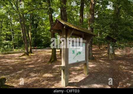 Wald und See Erholungsgebiet von Sillé-le-Guillaume, Sarthe, Pays De La Loire, Frankreich. Stockfoto