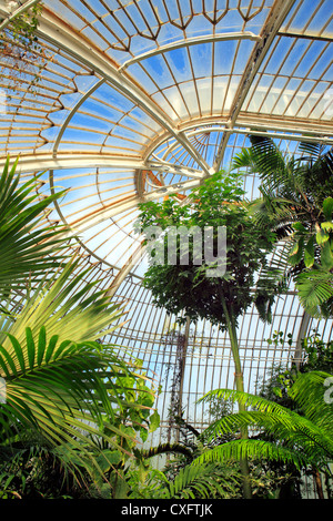 Kew Gardens, Palmenhaus (1848), London, UK Stockfoto