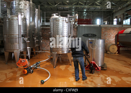 Bauernhof Arbeiter im Weinkeller an Babylonstoren, Franschhoek, Südafrika Stockfoto