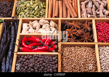 Gewürze und Kräuter in Holzkiste Stockfoto