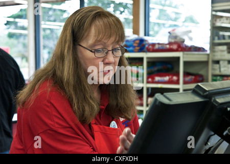 mittlere gealterte Frau Supermarkt Schreiber konzentriert sich auf ihre Register im kleinen Supermarkt in der Stadt von Long Beach Washington Stockfoto