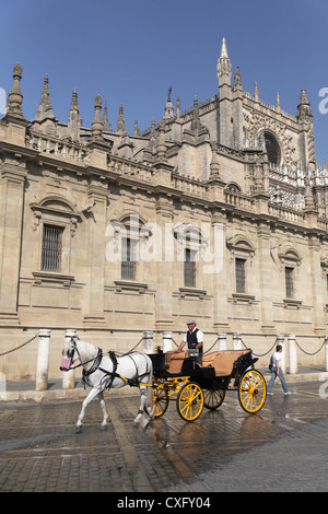 Pferdegespannen Kutschenfahrten Ayuntamiento de Sevilla das Rathaus von Sevilla auf der Plaza de San Francisco. St Francis Square Stockfoto