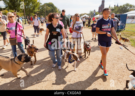 Eine große Gruppe von Menschen, die ihre Hunde Stockfoto