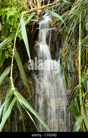 einer der Wasserfälle in Ein Gedi Natur reserve an den Ufern des Toten Meeres Stockfoto