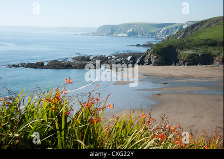 Challaborough Beach an der Südküste Devon England UK Stockfoto