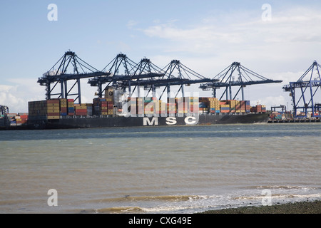 Container-Schiffe Hafen Felixstowe aus Shotley Suffolk England-Krane Stockfoto