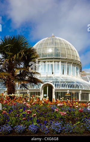 Das Palmenhaus im Botanischen Garten Stockfoto