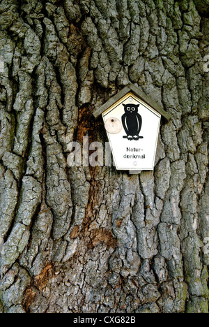 Kremmen-Plakette für Denkmal einer alten Eiche Stockfoto