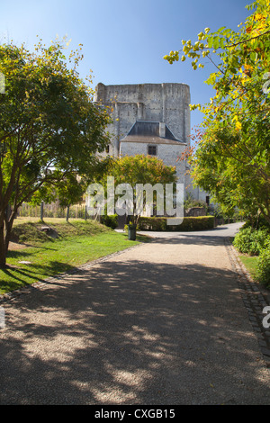 Das Dungeon in der Königsstadt Loches Stockfoto