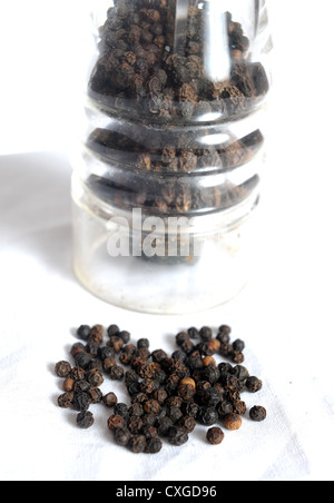 Schwarze Pfefferkörner und eine durchsichtige Plastikmühle oder Pfeffermühle UK Stockfoto