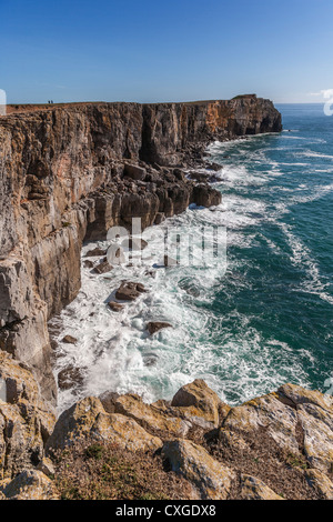 ST. GOVAN KOPF PEMBROKESHIRE WALES UK Stockfoto