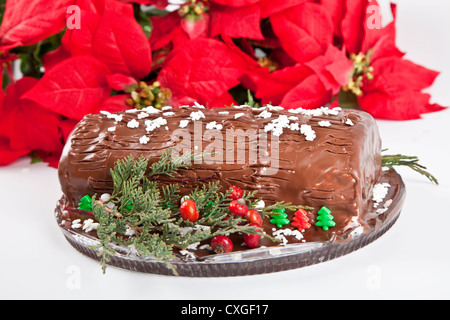 Hausgemachte Schokolade Yule Bûche mit Weihnachtsstern und andere saisonale Dekorationen. Stockfoto