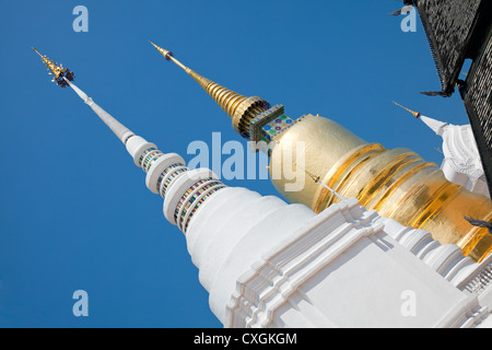 Goldene Chedi und weißen Stupas, Wat Suan Dok (Blume Garten Tempel), Chiang Mai, Thailand Stockfoto