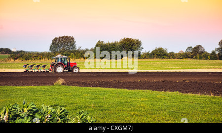 Kleine Landwirtschaft mit Traktor und Pflug im Feld Stockfoto