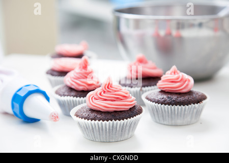 Nur mit rosa Zuckerguss verziert Schokoladentörtchen Stockfoto