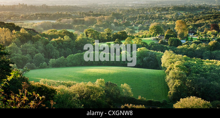 Die Aussicht vom Schulter von Hammelfleisch Hill in Ashford Kleiderbügel in der Nähe von Petersfield, Hampshire, England in den frühen Morgenstunden Stockfoto