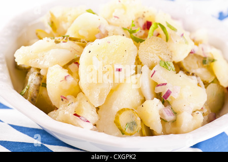 Kartoffelsalat mit sauren Gurken Stockfoto