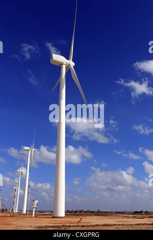 Windkraftanlagen an der windigen Küste von Puttalam, Sri Lanka Stockfoto