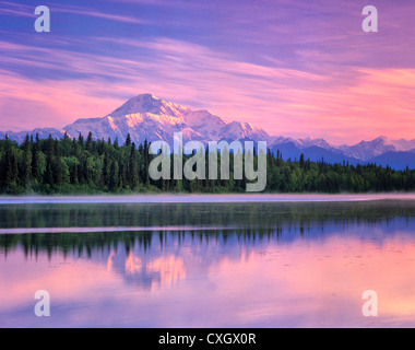 Mt. McKinley spiegelt sich in kleinen Teich in der Nähe von Talkeetna, Alaska Stockfoto