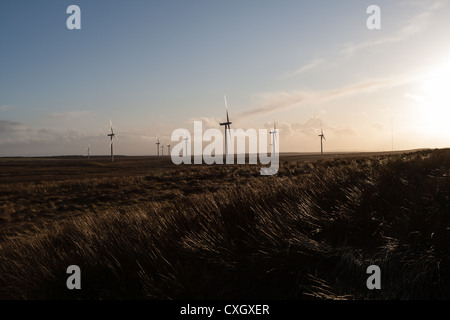 X-Achse Windkraftanlagen Windpark Whitelee bei Sonnenuntergang. Stockfoto