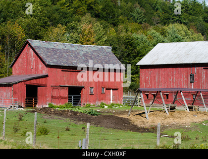 Bauernhof Gebäude roten Scheunen und Schuppen Stockfoto