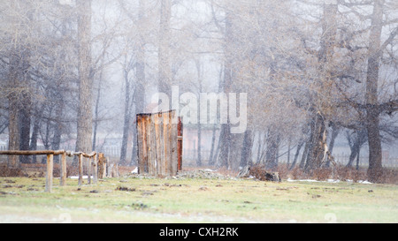 Plumpsklo im Schnee, Mongolei Stockfoto