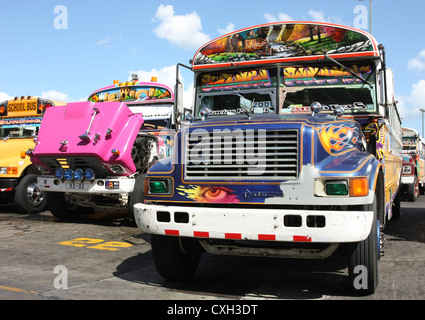 Hell eingerichtete öffentliche Busse in Panama City, Panama, Mittelamerika Stockfoto