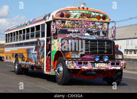 Hell eingerichtete öffentliche Busse in Panama City, Panama, Mittelamerika Stockfoto