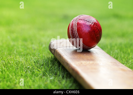 Cricket-Schläger und ball Stockfoto