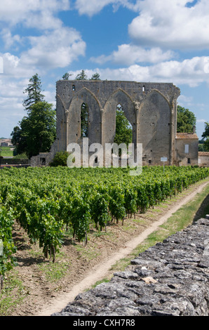 Weingut Château Les Grandes Mauern, Saint-Émilion, Gironde Bordeaux, Frankreich, Europa Stockfoto