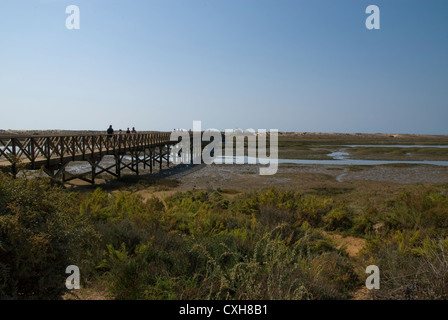 Ria Formosa natürlichen Park Quinta Do Lago Algarve Portugal Europa Stockfoto