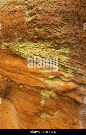 Greensand Ridge Sandstein Ablagerungen als unterschiedliche Schichten und satten orange Farben am Fuße eines einsamen Steilklippe Gesichts Stockfoto