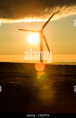 Windpark bei Ovenden Moor in der Nähe von Oxenhope, West Yorkshire. Stockfoto