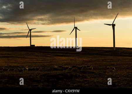 Windpark bei Ovenden Moor in der Nähe von Oxenhope, West Yorkshire. Stockfoto