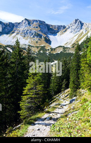 sonniger Tag im alpinen Wald, Bayerische Alpen Stockfoto